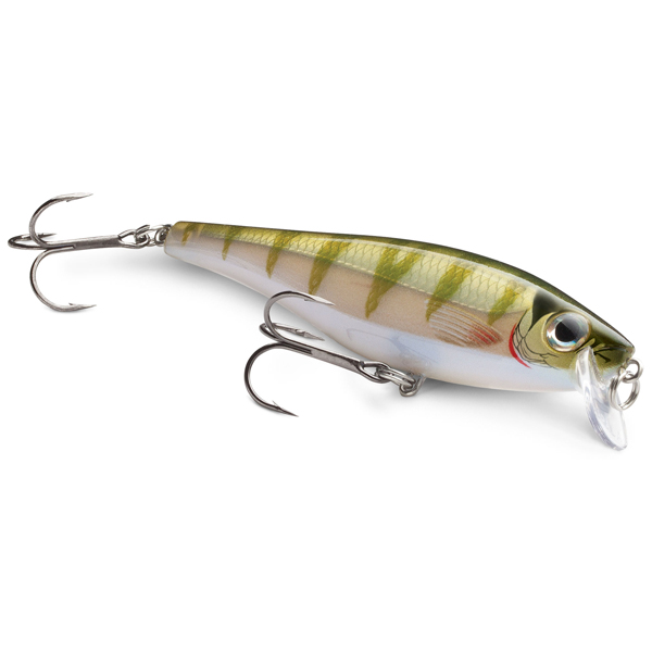 vobler Rapala BX Minnow 10cm - plávajúci