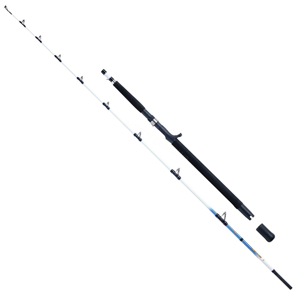 prút WFT Sensea 2,1m / 30-300g