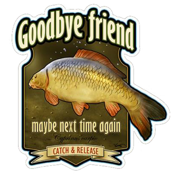 Nálepka na auto - Goodbye Friend