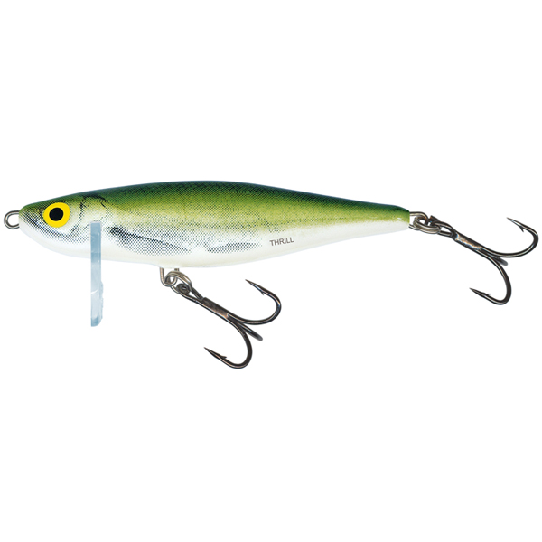 vobler Salmo Thrill 5cm / 6,5g - potápavý, hladinový