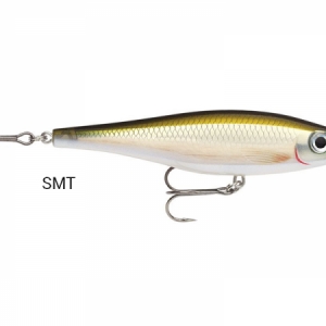 vobler Rapala BX Minnow 10cm - plávajúci