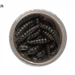 Osia larva Berkley Power Bait Honey Worm