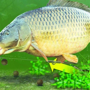 Klip na olovo Korda Lead Clip