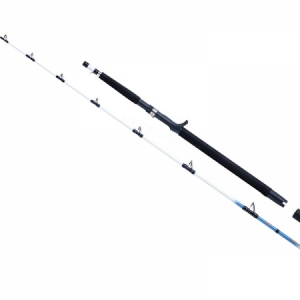 prút WFT Sensea 2,1m / 30-300g