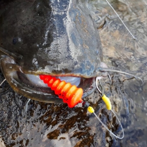 Podvodný plavák Black Cat U-Float Tree - fluo červený