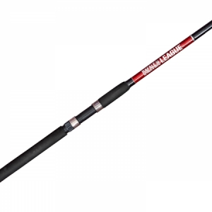 prút Pezon Michel Rafale League 3,0m / 50-100g