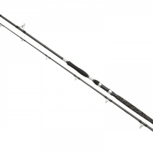 prút Penn Legion Cat Silver Allround 2,70m / 100-300g