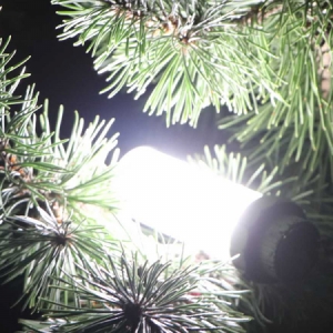 Vodotesné LED svetlo Flacarp FL6+ s prijímačom
