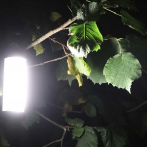 Vodotesné LED svetlo Flacarp FL6+ s prijímačom
