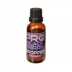 Starbaits Probiotic Black Berry - jahoda/čierna ríbezľa