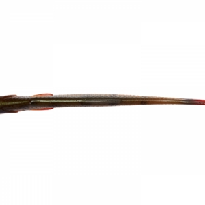 Gumená nástraha Savage Gear Craft Dying Minnow 7,5cm