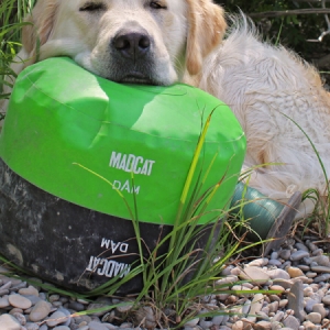 Sumcová nafukovacia bójka Madcat Buoy