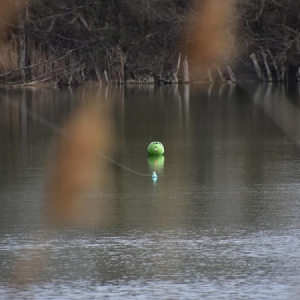 Sumcová nafukovacia bójka Madcat Buoy