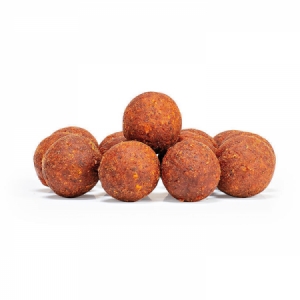 Boilies Sportcarp Spicy Krill - korenistý krill