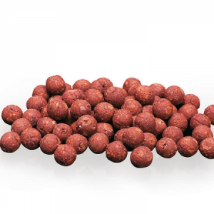 Boilies Sportcarp GLM Squid - mušľa / kalamár