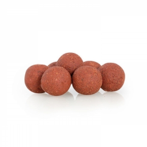Boilies Sportcarp Salmon & Maple - losos javor
