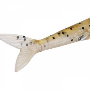 Gumená nástraha Westin MiniTeez V-tail 13cm