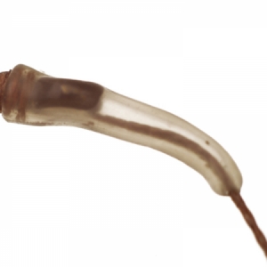 Vlasové rovnátko Gardner Covert Hook Aligner