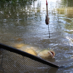 Krmítko Guru Method Feeder Large X-Safe System