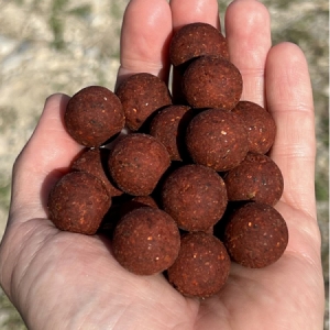 Boilies Carp Fans Spice Food