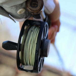 Muškárska šnúra Cortland Euro Nymph Braid Core 0,22